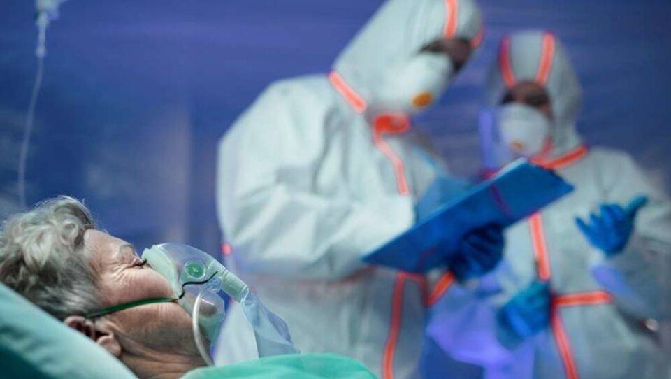 Covid-19 в мире: Британия лидирует по числу жертв в Европе, в России три дня подряд выявляют по 10 тысяч заражённых