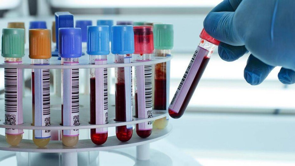 Пострадавшая от кибератаки лаборатория "Инвитро" возобновила свою работу 