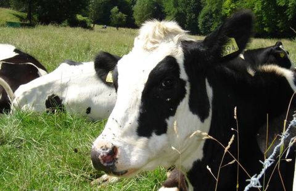 Фото с сайта agriacta.com