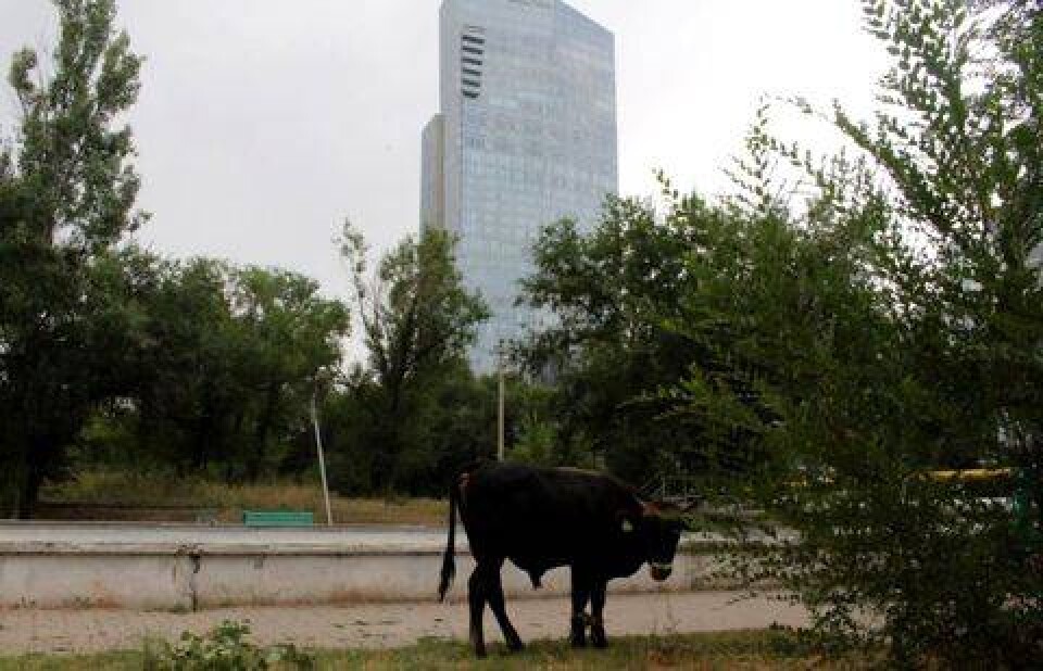 Фото informburo.kz