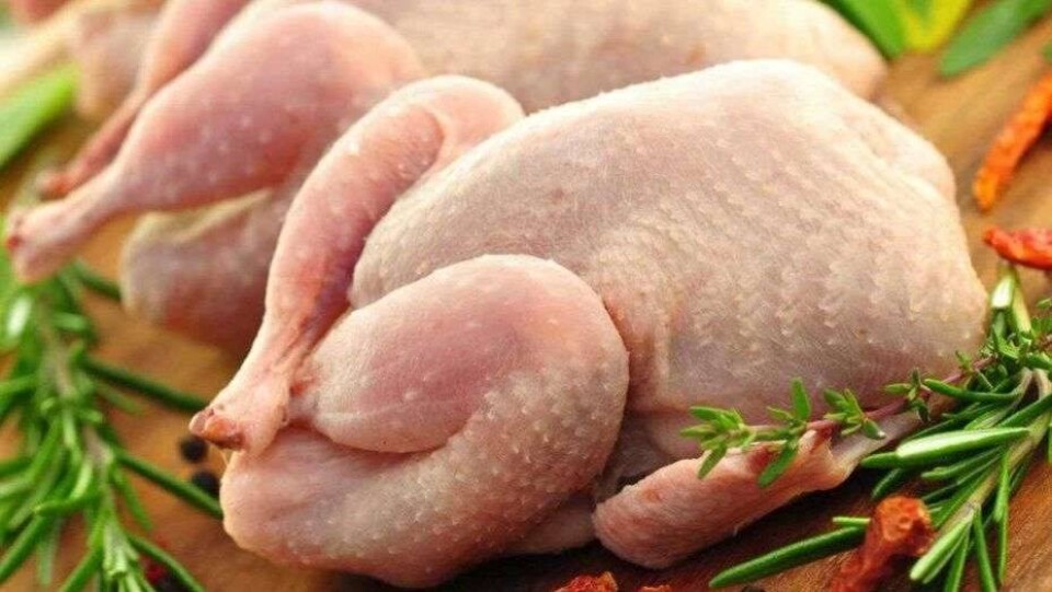 МСХ расширило перечень запрещённой к ввозу продукции российских птицефабрик
