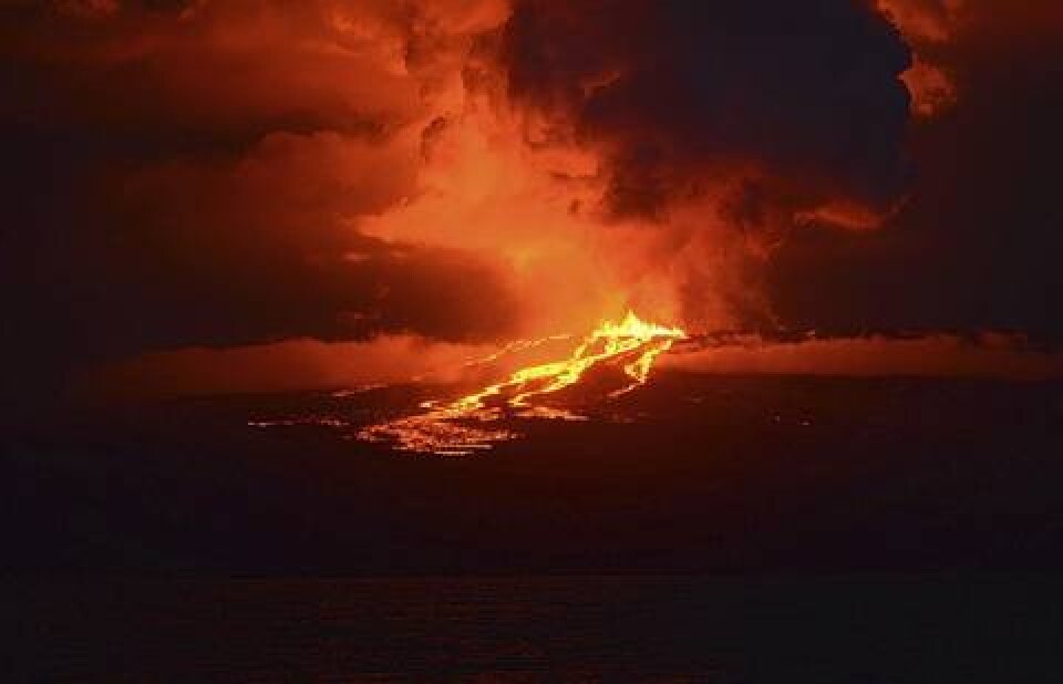 Фото: Reuters