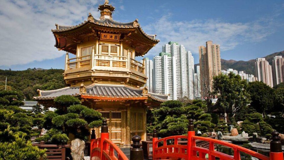 Почему казахстанцам нужно изучать Китай