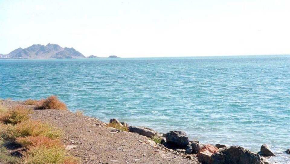Новую погранзаставу открыли на берегу Каспийского моря