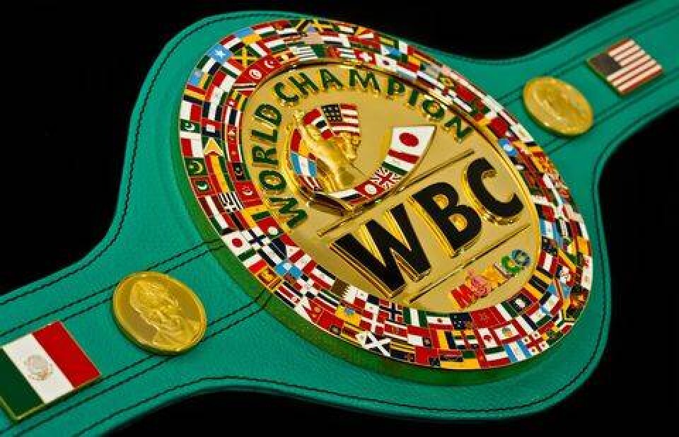 Иллюстрация с сайта official-boxing.com