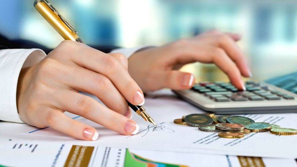 37% инвестдохода ЕНПФ получил от курсовой разницы