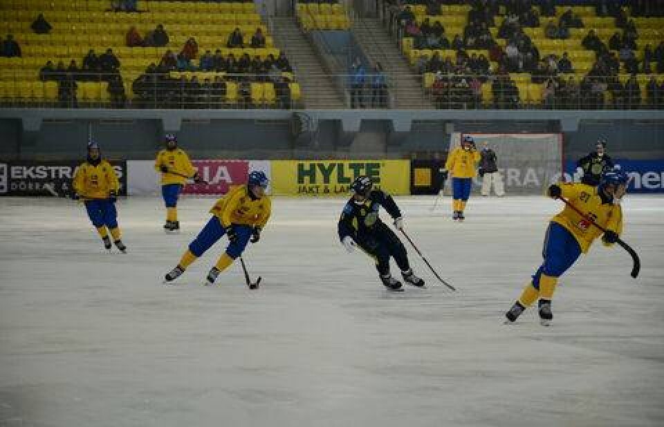 Фото с сайта bandy2016.ru