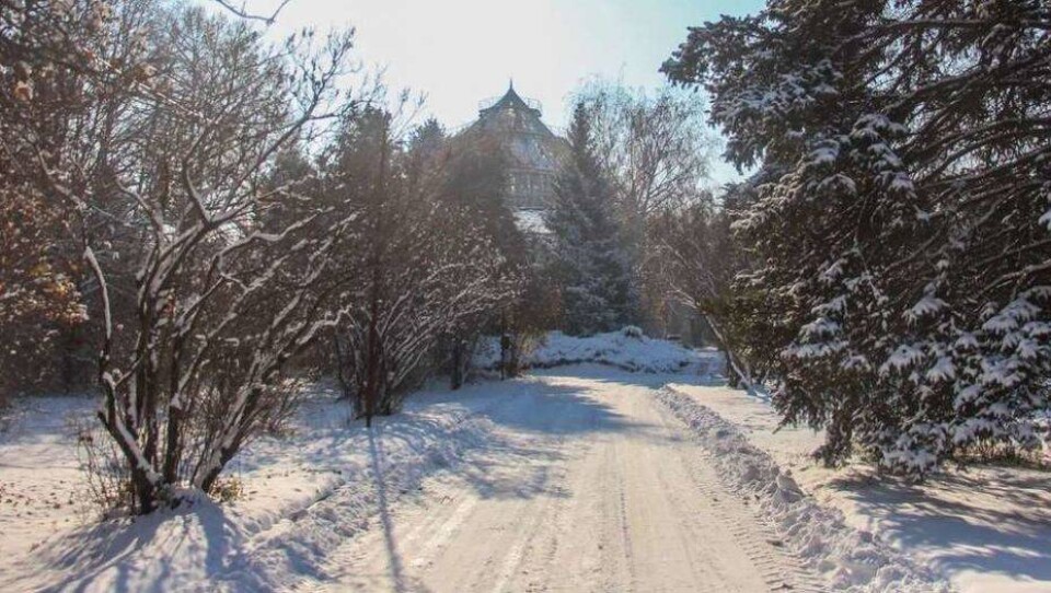 Фото Алмаза Толеке