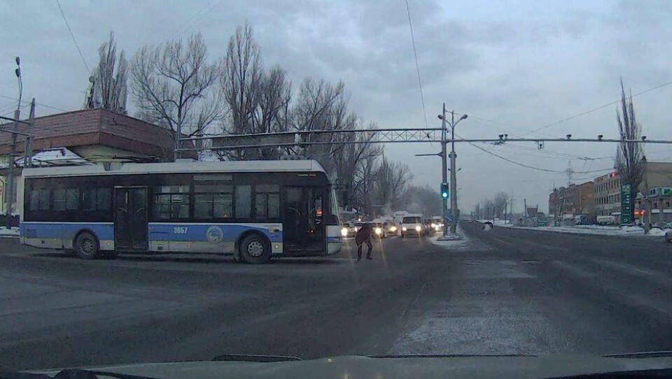 Как полицейские помогают алматинцам на улицах в морозы, рассказали в ДВД