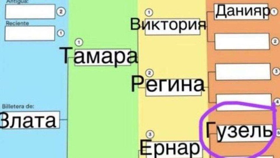 Набирающую популярность среди казахстанцев игру "Котёл" назвали финансовой пирамидой
