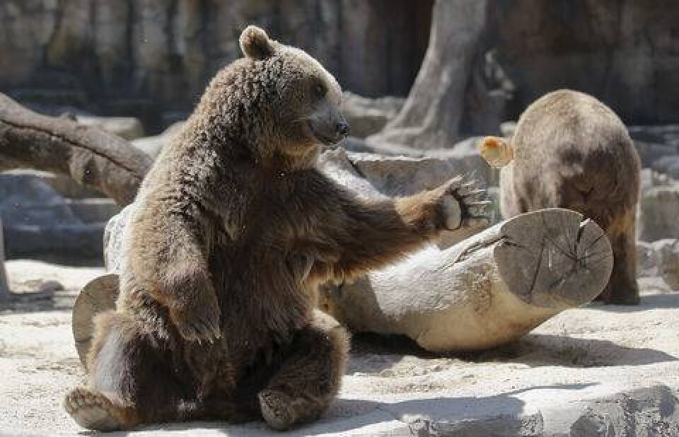 Фото: Reuters