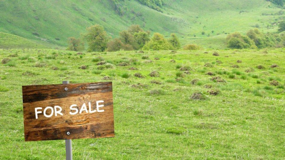 Вопрос продажи земель сельхозназначения рассмотрит Нацсовет общественного доверия 