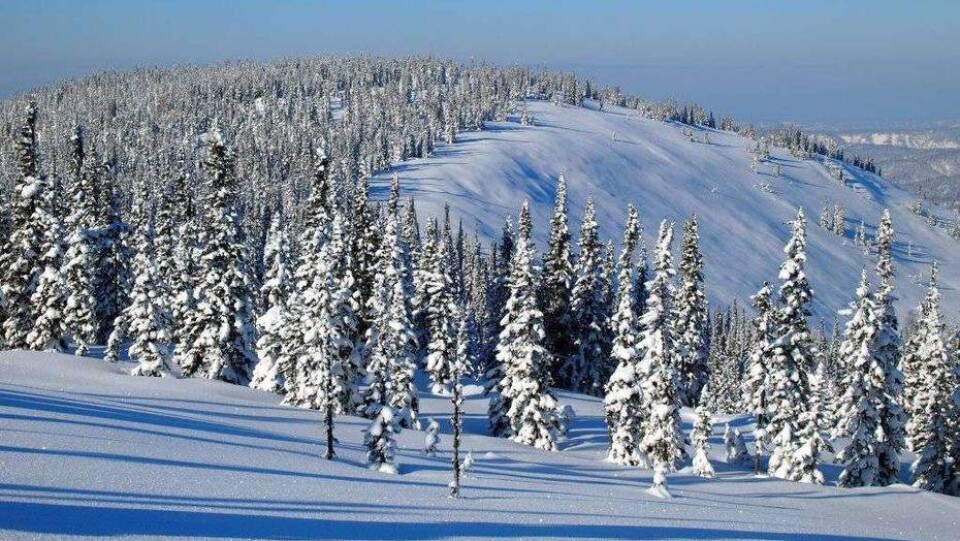 freerideresearch.com