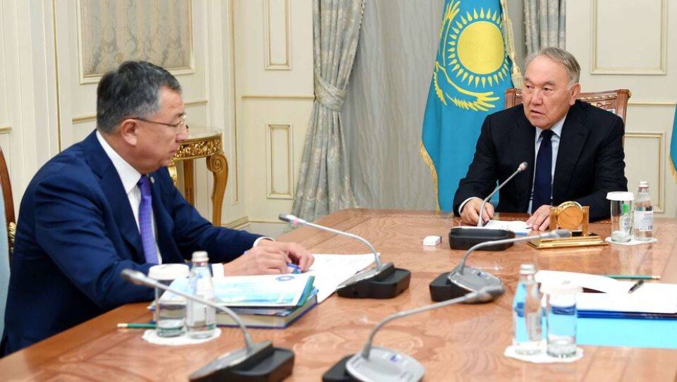 Назарбаев: Необходимо повышать эффективность работы АНК в регионах
