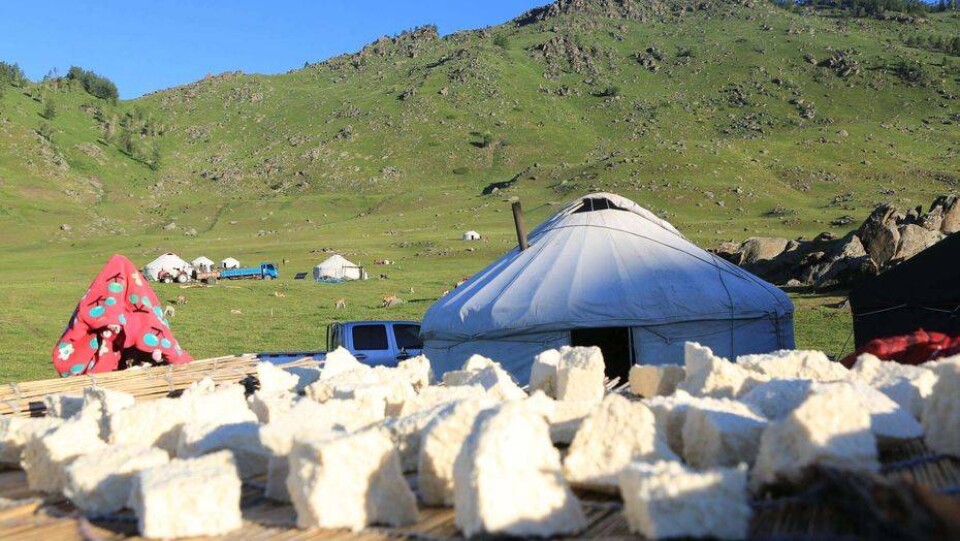 Сурет Қалиакбәр Үсемханнан алынды