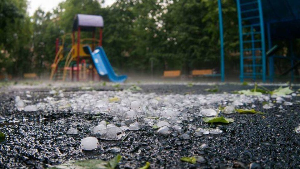 Фото с сайта shutterstock.com