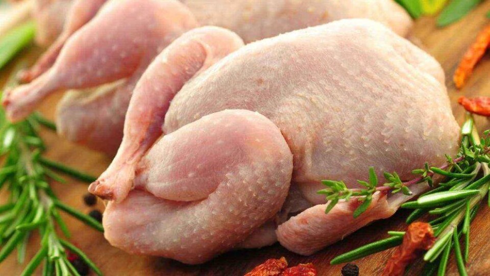 Минсельхоз Казахстана ограничил ввоз продукции с российских птицефабрик