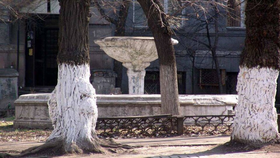 Фото Андрея Михайлова
