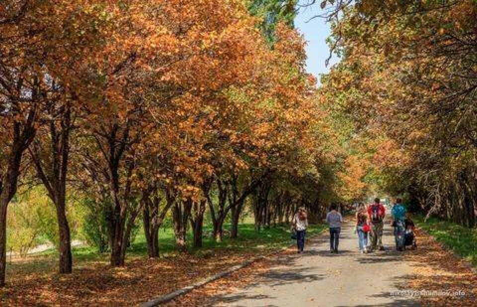 Фото: Николай Шумилов/ilovealmaty.kz