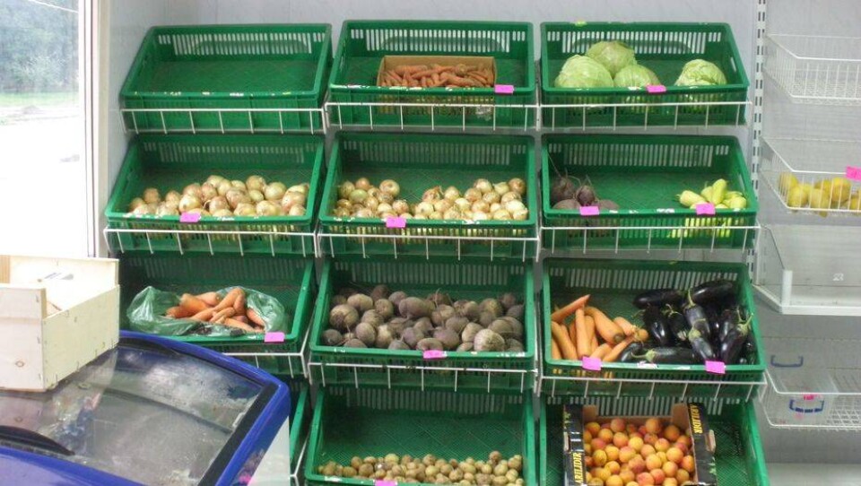 Фото market.mk.ua