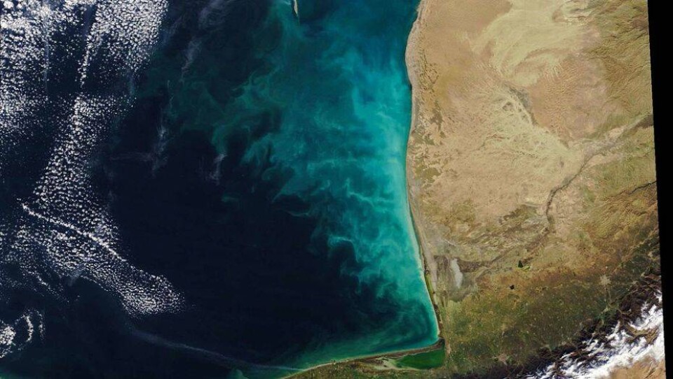 Вихри молочного цвета появились у берегов Каспийского моря – NASA
