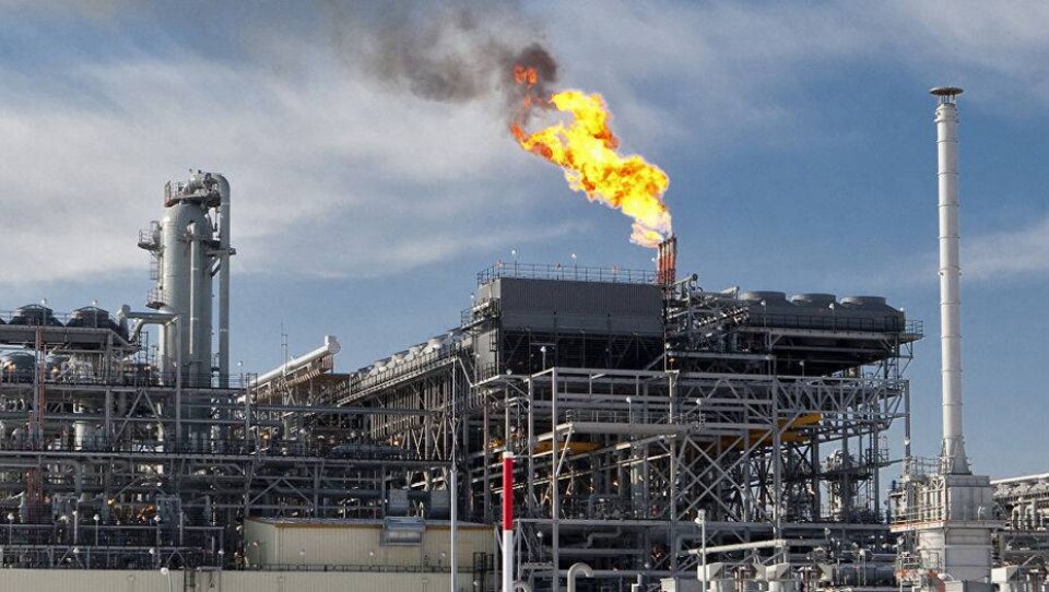 Газовый оптимизм Ташкента