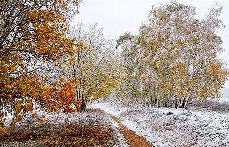Фото с сайта liveinternet.ru