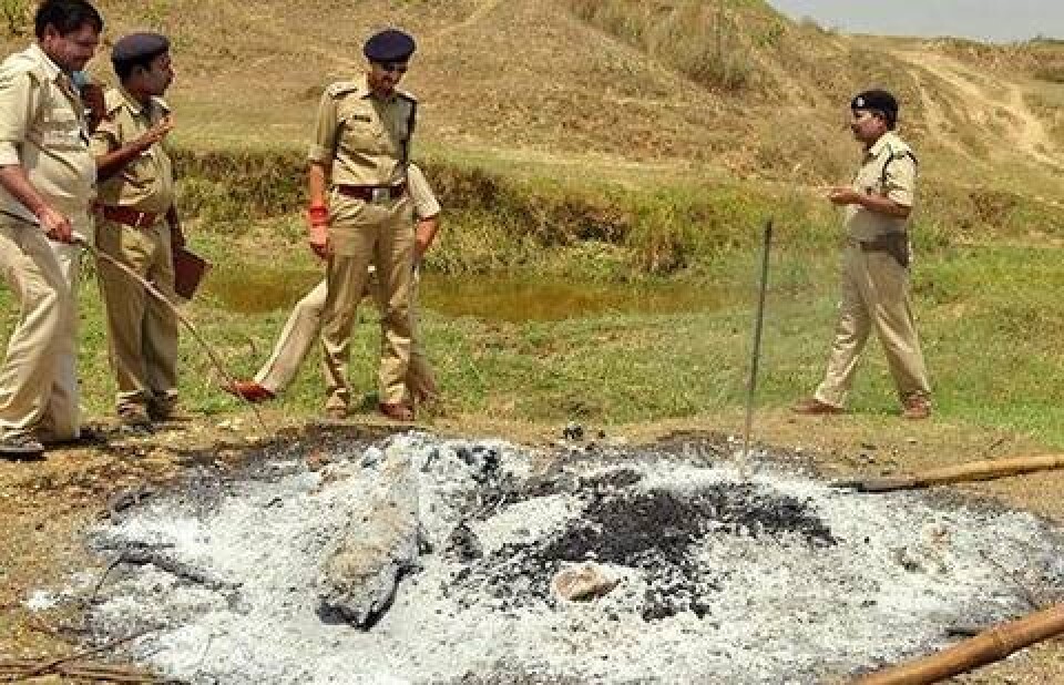 Фото: thehindu.com