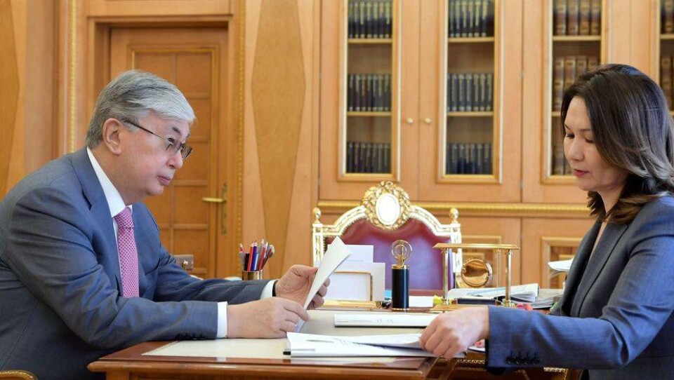 Токаев поручил Жаилгановой разработать концепцию развития госуправления