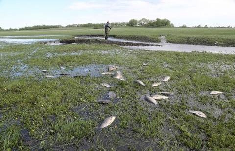 Фото с сайта kstnews.kz