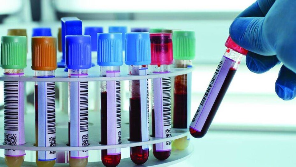 Лаборатория Invitro приостановила приём анализов в Казахстане из-за хакерской атаки