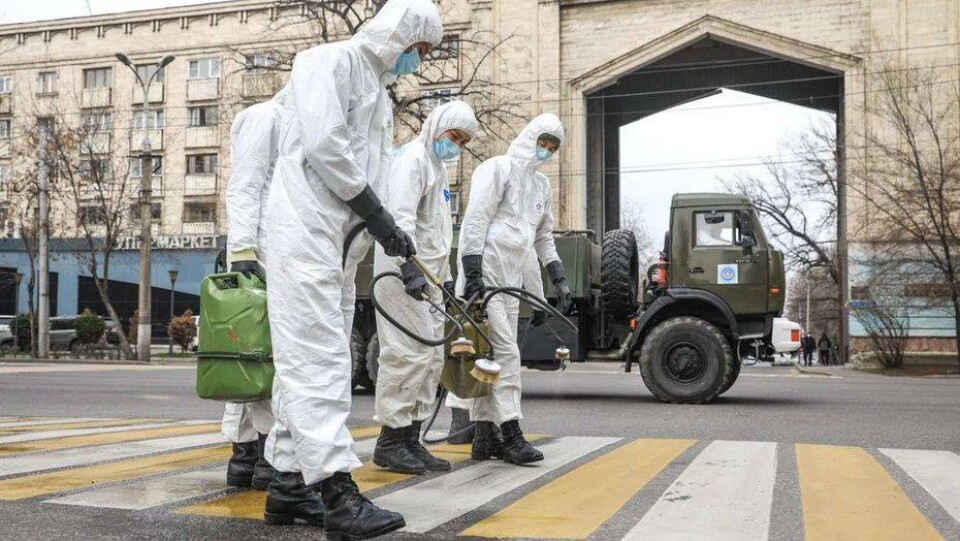 Хронология распространения коронавируса, 9 апреля: восьмой летальный исход и первые роды у женщины с Covid-19