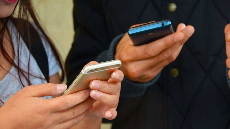 Наводим онлайн-мосты: Telegram-чат как средство общения с населением