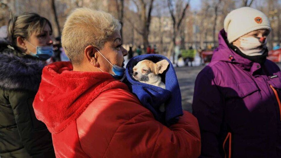 Митинг в защиту животных прошёл в Алматы