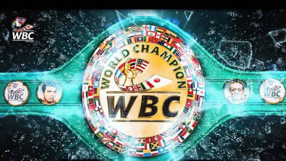 WBC выбирает дизайн пояса к бою Головкин - Альварес