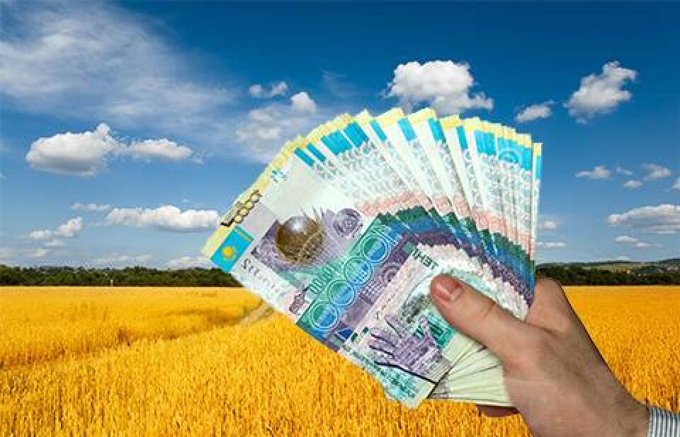 Иллюстрация informburo.kz
