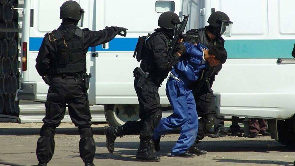 Спецоперация на юге Казахстана: задержаны 29 членов преступной группы