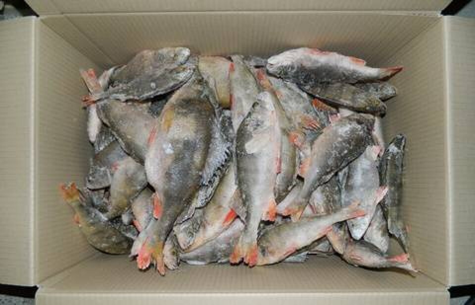 Фото с сайта fishretail.ru