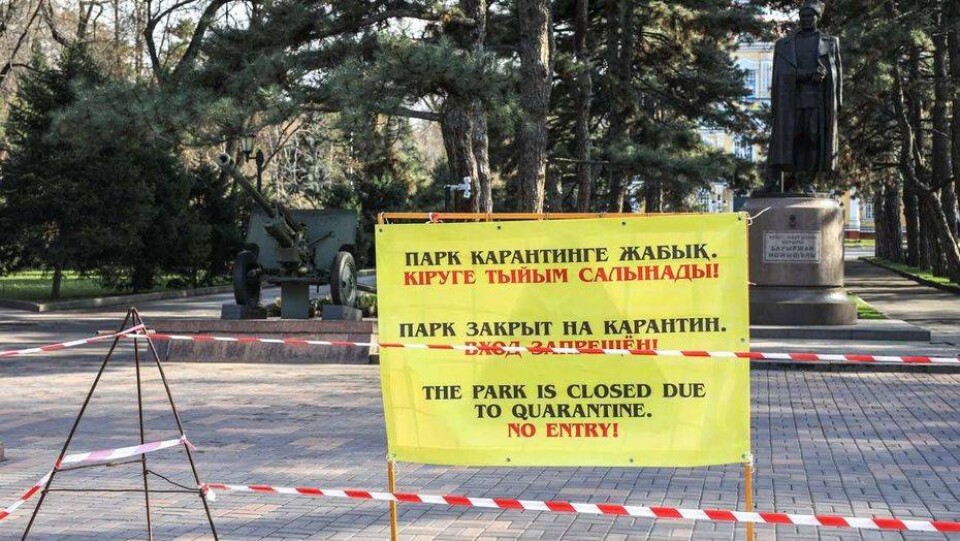 Фото Алмаза Толеке