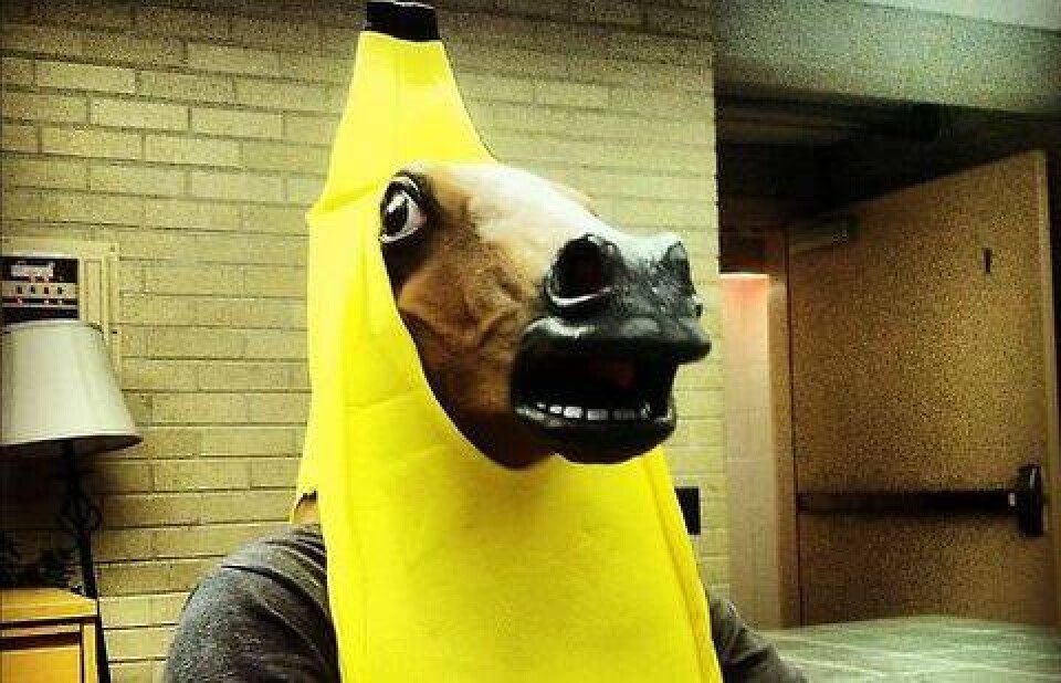 Фото@horsebanana / Twitter