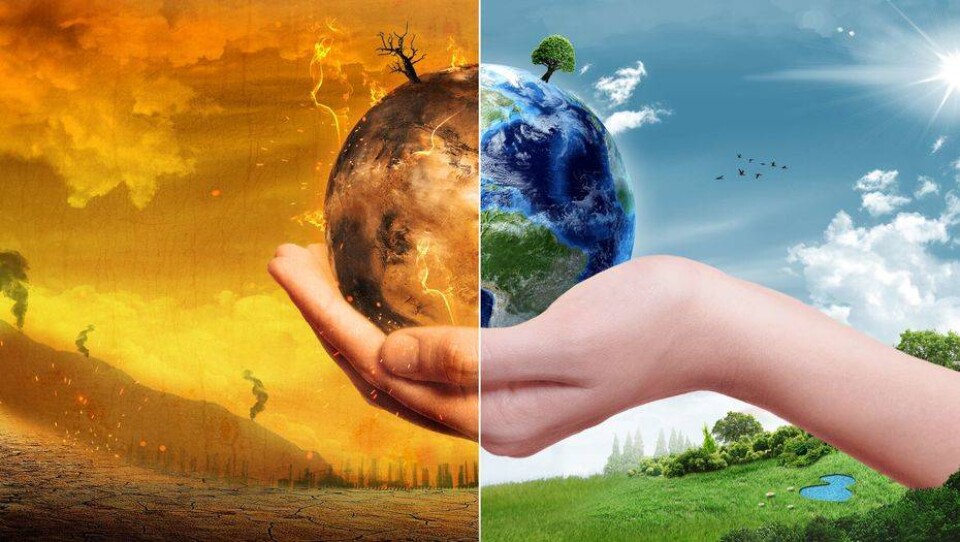 Фото с сайта shutterstock.com