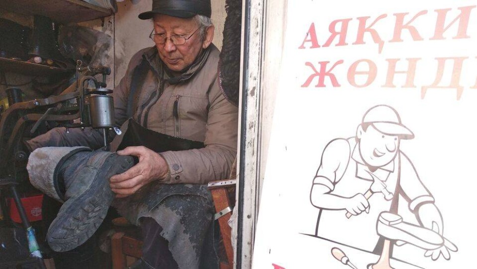 Сурет автордыкі