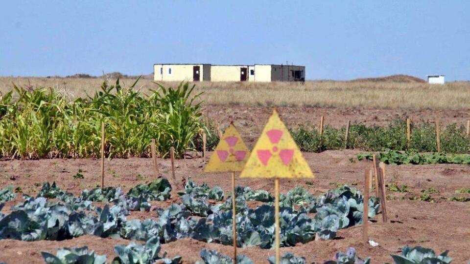 Генассамблея ООН одобрила резолюцию по Семипалатинскому полигону 