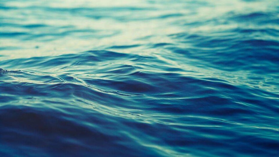 Казгидромет сообщил об опасном подъёме воды на Сырдарье. В КЧС заявили, что угрозы подтопления нет
