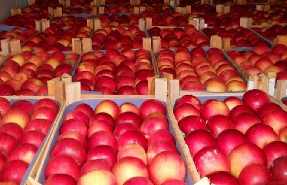 Фото: agroinfo.com