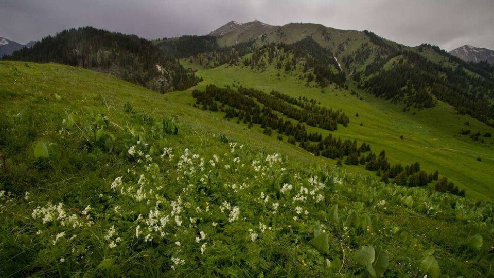 Фото Андрея Старкова