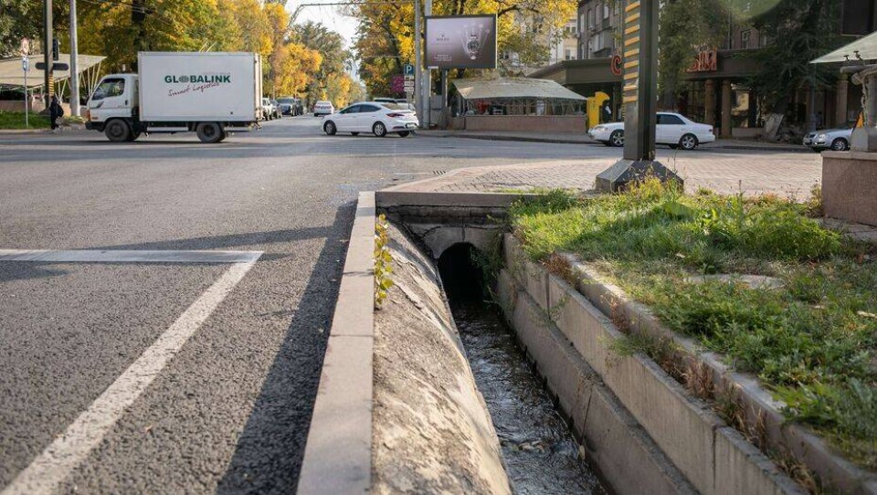 Фото Алмаза Толеке