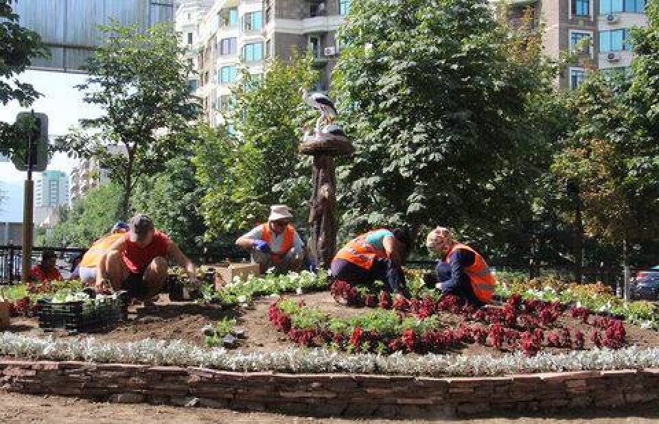 Фото Никиты Спивака