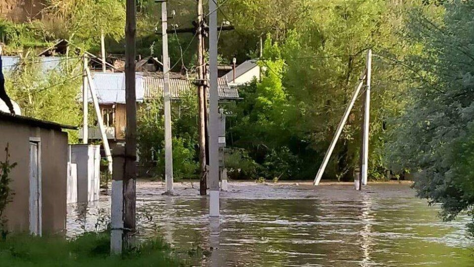 Предварительный ущерб сельхозпроизводителей в Туркестанской области оценили в 4 млрд тенге
