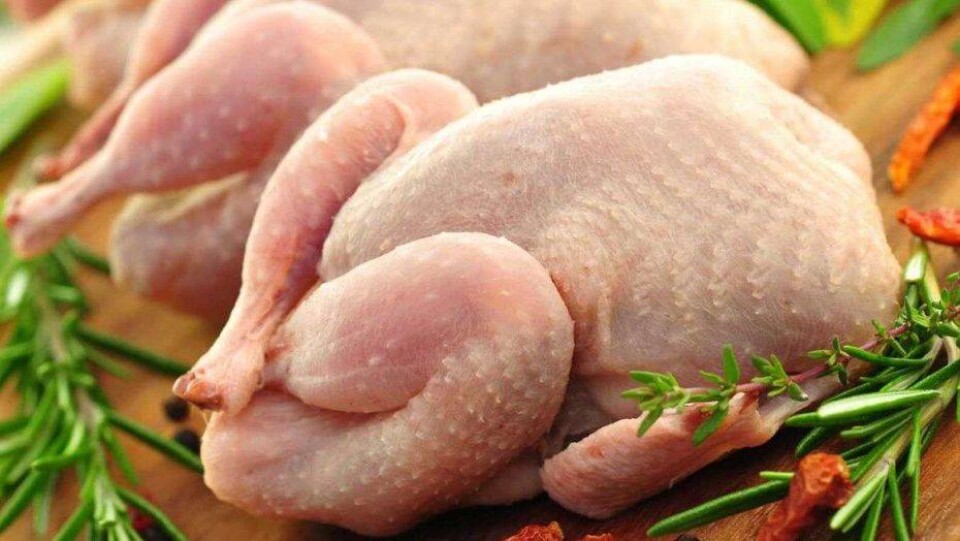 Пяти российским импортёрам запретили ввозить мясо птицы в Казахстан